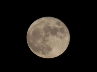 210922_Mid-autumn moon-5.JPG